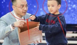 汪涵爆料儿子视频,温馨家庭生活片段引网友热议