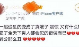 粉丝爆料陈飞宇事件视频,粉丝爆料引发热议
