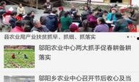 鹤峰今日一线爆料新闻最新,揭秘最新爆料背后的真相与影响
