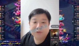 南哥爆料美团视频是真的吗,美团视频真实性揭秘