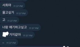 韩瑞希爆料聊天记录视频,揭秘背后惊人真相