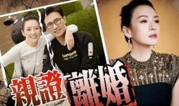 刘大锤最新爆料唱歌视频,现场燃情演绎引粉丝尖叫