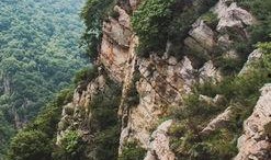 阴森林在线观看,在线惊悚之旅，揭秘神秘森林的恐怖传说