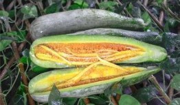 网红请吃瓜,揭秘网络红人的幕后故事