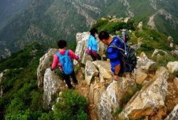 加山在线观看,揭秘热门影视作品的魅力所在