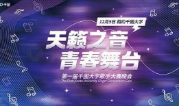 唱歌爆料视频素材下载免费,免费素材背后的精彩故事