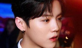 圈内爆料鹿晗郭麒麟,神秘项目引粉丝热议