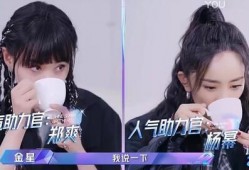 吃瓜姐妹全集免费观看,揭秘娱乐圈背后的秘密，免费观看全集大揭秘