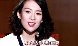袁立爆料节目视频,真实与虚假的较量