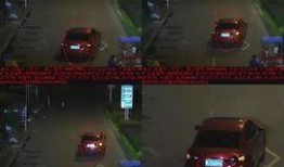 大爆料马路杀手视频下载,大爆料视频下载揭秘惊险一幕