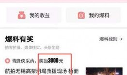 今日头条老太婆爆料,揭秘今日头条背后惊人内幕！