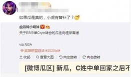 圈内大佬爆料小虎和大萌,圈内大佬揭秘这对电竞界的神秘组合
