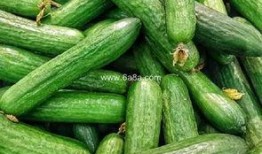 吃瓜免费官网入口,畅享免费瓜子的秘密入口