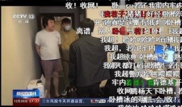 主播爆料学生犯法吗视频,法律边界与网络舆论的碰撞