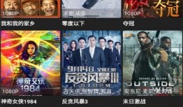 澳门大熊爆料视频下载,揭秘幕后真相