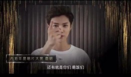 王伊泽爆料视频大全集,揭秘背后真相与精彩瞬间