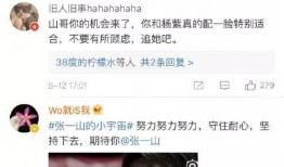 微博爆料张一山事件视频,真相揭秘，网友热议不断
