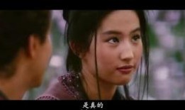 龙公子姑姑爆料视频大全,揭秘不为人知的幕后故事