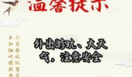 春雨春风最新爆料,最新爆料背后的故事与真相