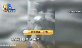 爆料明胶事件视频播放