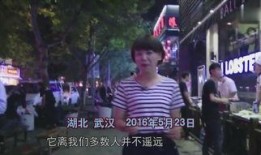 网红爆料娱乐圈后台,网红爆料背后的真相与内幕