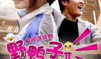 野鸭子2全集在线观看,续写传奇，再续前缘