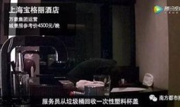 第四季最新爆料视频播放,剧情高潮迭起，角色命运再起波澜