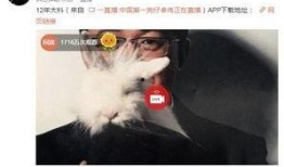 爆料白百何完整视频,揭秘事件背后真相