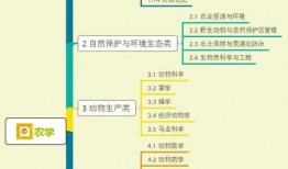 黄金转盘爆料视频大全集,揭秘幕后真相与精彩瞬间