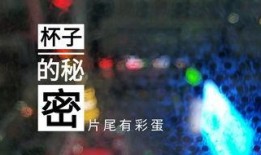 怎样拍摄爆料视频,捕捉真相的镜头艺术