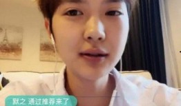 直播爆料大王是谁呀视频,揭秘网络红人背后的故事