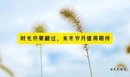 新闻爆料正能量短句文案,传递正能量，共筑美好社会