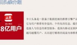 深圳沙井头条最新爆料,最新爆料揭示惊人内幕