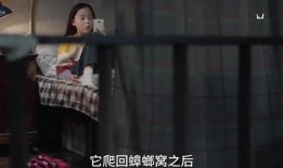 秘密储藏室爆料视频,独家爆料视频背后的惊人真相