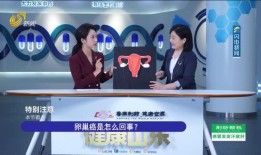 大福电台爆料新闻事件视频,最新爆料新闻事件视频全解析