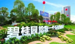 碧桂园爆料最新,揭秘千亿房企的转型之路与未来布局”