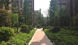 六安碧桂园最新爆料