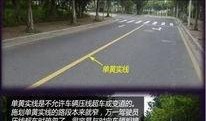 湛江交通新闻最新爆料,最新爆料揭示重大交通变革