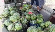 永年网红吃瓜事件,揭秘网络舆论背后的真相与争议