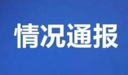 青岛爆料最新新闻头条号,聚焦城市热点事件追踪