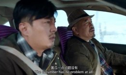 一路不消停刘能在线观看,笑料横生的在线喜剧盛宴