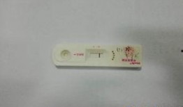 遂宁网新闻爆料热线电话