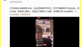 河源大事件爆料视频播放,揭秘视频播放背后的热点与焦点