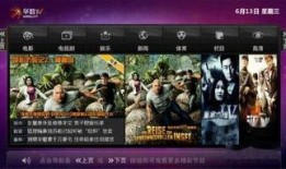 网络电视直播在线观看,网络电视直播在线观看指南