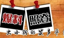 宜昌新闻网爆料平台官网,聚焦民生，倾听民声，共建和谐宜昌