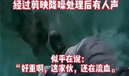 邢台渣男爆料事件视频播放,真相与舆论的漩涡