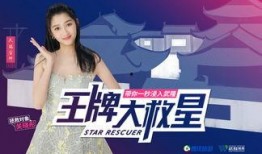王伊泽爆料视频大全集,揭秘背后真相与精彩瞬间