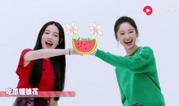 吃瓜姐妹全集免费观看,揭秘娱乐圈背后的秘密，免费观看全集大揭秘