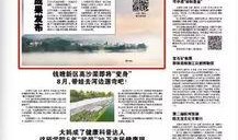 杭州新闻煤体爆料案例,揭秘事件背后真相