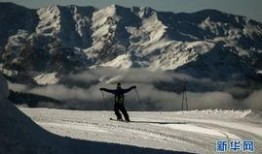 加山在线观看,揭秘热门影视作品的魅力所在